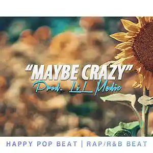 Picture for song ''Maybe Crazy' // Buy TWO Get 4 FREE' by artist 'LiL Medic Beats'
