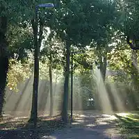 Picture for song 'The Light Breaks The Dark' by artist 'Michael John'