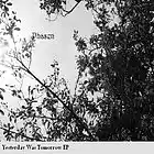 Picture for song '070307' by artist 'Phasen'
