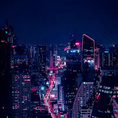 Picture for song 'Concrete Jungle Chronicles' by artist 'Stedman Meladee'