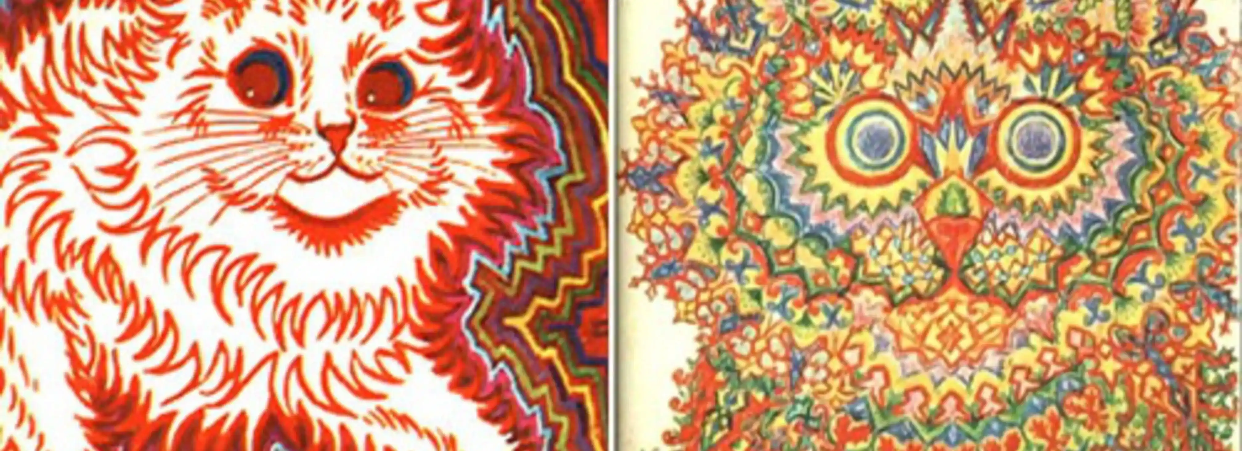cover pic