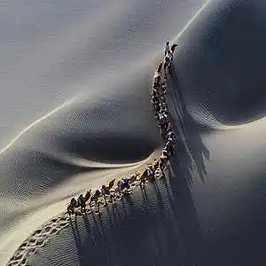 Picture for song 'Caravan playalong' by artist 'Caravan World Music Ensemble'