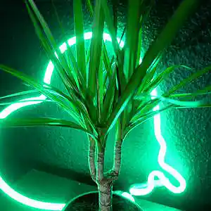 Picture for song '[Columbia] - Buy 2 Get 1 FREE (Lil Durk Type Beat)' by artist 'DezDrama Beats'