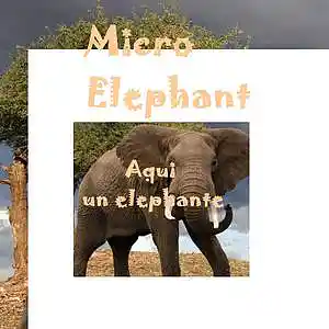 Picture for song 'Aqui o elefante ( versão rápida)' by artist 'Estelle Derrien'