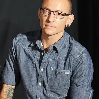 Picture for song 'Chester (acoustic)' by artist 'Influx22'