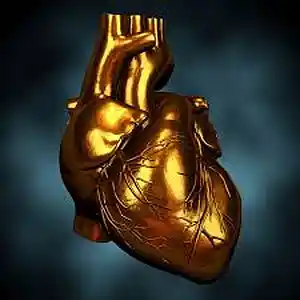 Picture for song 'Heart of Gold (cover) Neil Young' by artist 'Lee Boos Project'