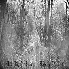 Picture for song 'Crystallized' by artist 'Lutus'