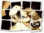 Picture for song 'I'm Sorry, We Failed' by artist 'Presley Caudle (Lost Premier)'