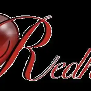 Picture for song 'Redheart Cover - Make You Feel My Love' by artist 'RedHeart'