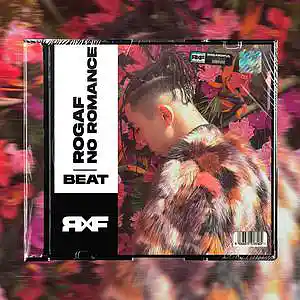 Picture for song 'NO ROMANCE (KILLY BEAT)' by artist 'ROGARDFUL'