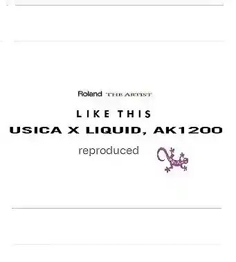 Picture for song 'Like This 2025 (C&P) Demo' by artist 'Roland The Artist'