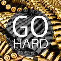 Picture for song 'WTF - GoHard (FreeDL)' by artist 'SSurreal'