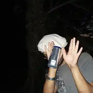 Picture for song 'The Stowaway' by artist 'The WoodBeez'