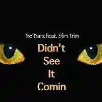 Picture for song 'Didn't See It Comin feat. Slim Trim' by artist 'Tre'Barz'