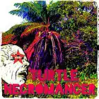 Picture for song 'Legends of the Hidden Tempo' by artist 'Turtle Necromancer'