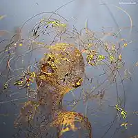 Picture for song 'Finally' by artist 'Alana Joy Bailey'