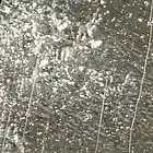 Picture for song 'Auswaertsteam' by artist 'als gaebe es kein morgen'