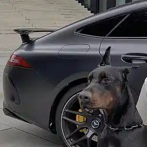 Picture for song 'BROOKLYN - BUY 1 GET 1 FREE' by artist 'BaaYZe'