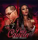 Picture for song 'Piel Canela' by artist 'Berto Ramico'