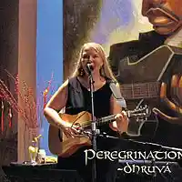 Picture for song 'Minnesota Rain' by artist 'dhruva''