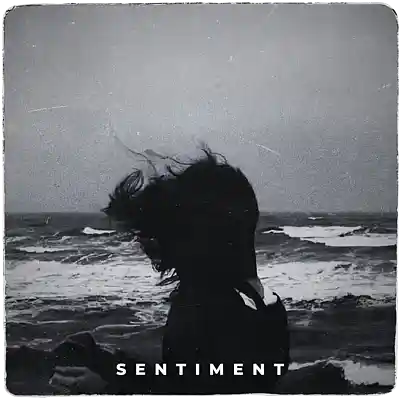 Picture for song 'Sentiment' by artist 'Erawy'