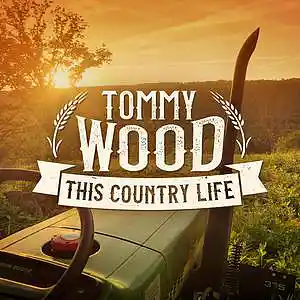 Picture for song 'Fallin' For You' by artist 'Tommy Wood'