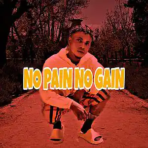 Picture for song 'Stormblix _ NO PAIN NO GAIN' by artist 'Wenzy Eleniyan'