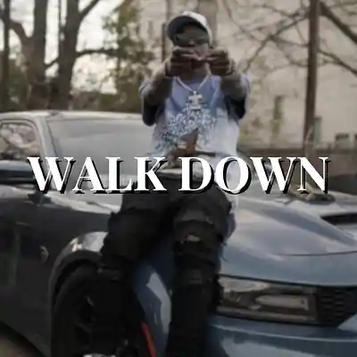 Picture for song 'WALK DOWN - ''FUTURE TYPE BEAT''' by artist 'Alex Muzic'