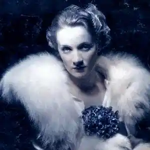 Picture for song 'Vioilets for your Furs' by artist 'Ucancallmeal'