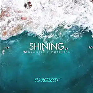 Picture for song 'Shining (Buy 1 Get 4 FREE)' by artist 'BenzMuzik'