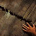 Picture for song 'Out of Ammo' by artist 'entee'