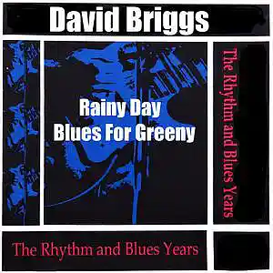 Picture for song '10. Rainy Day Blues For Greeny' by artist 'Major Snagg'