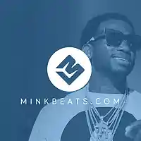 Picture for song 'Guwop Back' by artist 'Mink Beats'