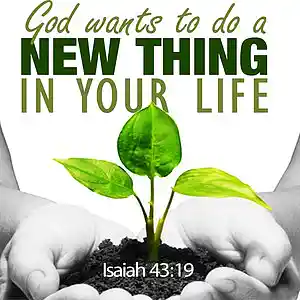 Picture for song 'He's Doing A New Thing (Instrumental)' by artist 'My Shepherd King'