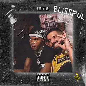 Picture for song 'Drake x Lil Durk Type Beat "Blissful"' by artist 'namthomakeithappen'
