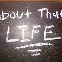 Picture for song 'HDE 4Ever - 15 - Thievin' (K-Swis,Jizzle)' by artist 'Nightmare The Don'