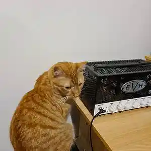 Picture for song 'daw daw 5150 + sims' by artist 'Ramadge'