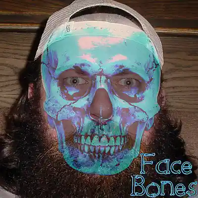 Picture for song 'Face Bones' by artist 'shovellovell02'