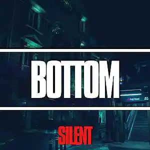 Picture for song 'BOTTOM (Pop Smoke x Drake Type Beat)' by artist 'Silent The Producer'