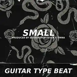 Picture for song 'Guitar Type Beat - Small' by artist 'Skyscraper Seven'