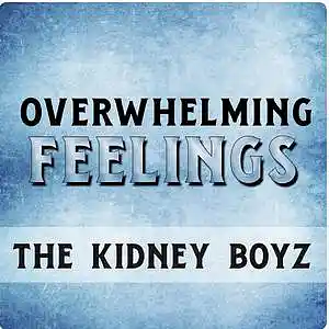 Picture for song 'Overwhelming Feelings' by artist 'The Kidney Boyz'