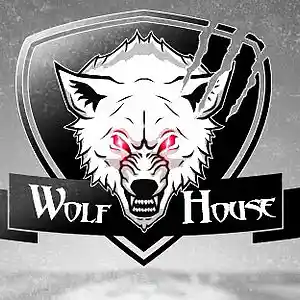 Picture for song 'Hard Time' by artist 'Wolf House Production'