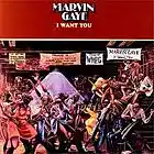 Picture for song 'Where Will I Go.mp3' by artist 'Complic8d'