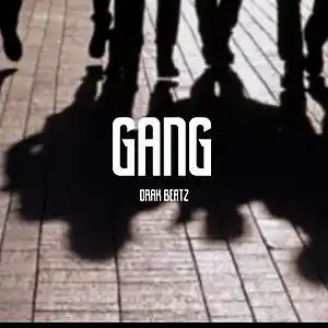 Picture for song '"GANG"' by artist 'DrAk Beatz'