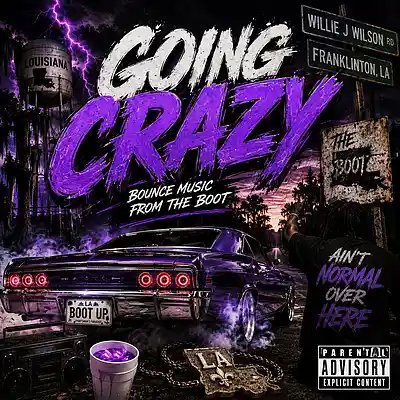 Picture for song 'Going Crazy' by artist 'Gatsta'