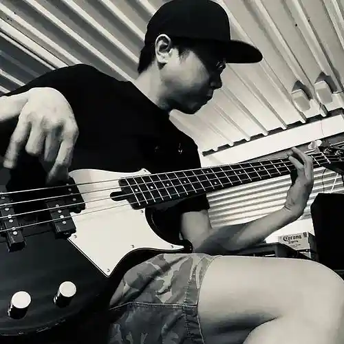 Picture for song 'Family System - Bass Cover' by artist 'jmwreck'