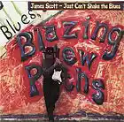 Picture for song 'Just Can't Shake The Blues' by artist 'James Dale Scott'