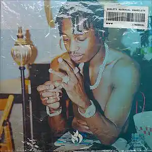 Picture for song 'Purge' by artist 'MadReal'