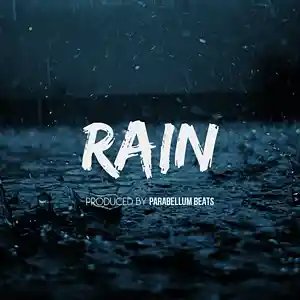 Picture for song 'Rain' by artist 'Parabellum Beats'