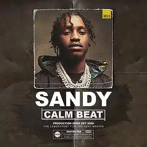 Picture for song 'Sandy. 9445' by artist 'Production Shop'